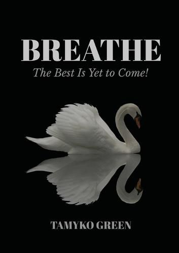 Cover image for Breathe