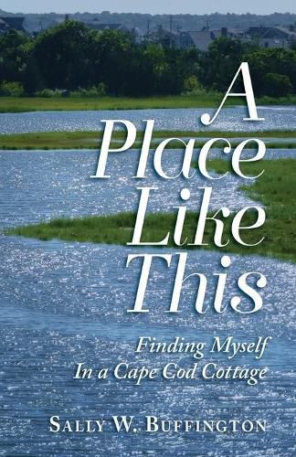 Cover image for A Place Like This