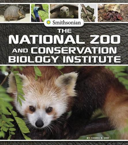 Cover image for The National Zoo and Conservation Biology Institute