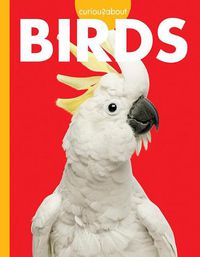 Cover image for Curious about Birds
