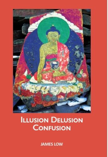 Cover image for Illusion delusion confusion
