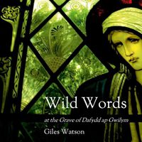 Cover image for Wild Words at the Grave of Dafydd ap Gwilym