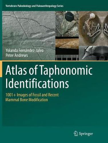 Cover image for Atlas of Taphonomic Identifications: 1001+ Images of Fossil and Recent Mammal Bone Modification