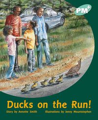 Cover image for Ducks on the Run!