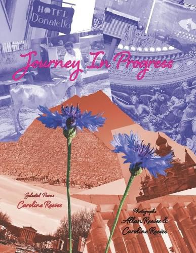 Cover image for Journey In Progress