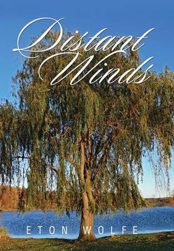 Cover image for Distant Winds