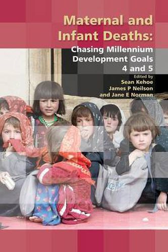 Cover image for Maternal and Infant Deaths: Chasing Millennium Development Goals 4 and 5