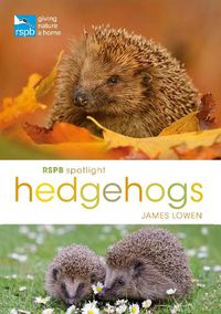 Cover image for RSPB Spotlight Hedgehogs