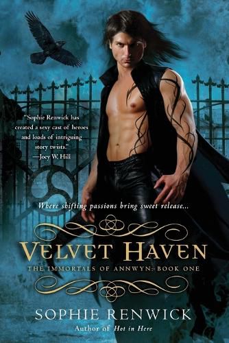 Cover image for Velvet Haven: Book One in the Annwyn Chronicles