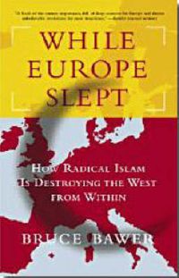 Cover image for While Europe Slept
