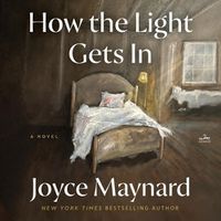 Cover image for How the Light Gets in