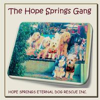 Cover image for The Hope Springs Gang