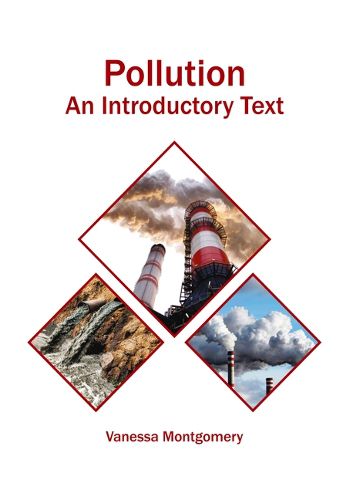 Cover image for Pollution: An Introductory Text