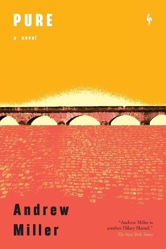 Cover image for Pure