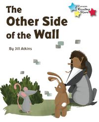 Cover image for The Other Side of the Wall