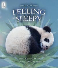 Cover image for Feeling Sleepy