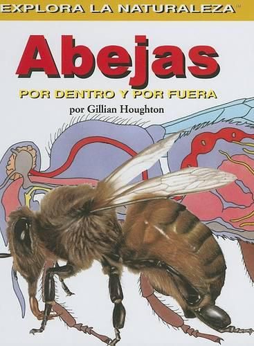 Cover image for Abejas: Por Dentro Y Por Fuera (Bees: Inside and Out)