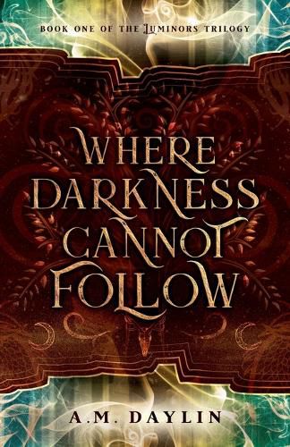 Cover image for Where Darkness Cannot Follow