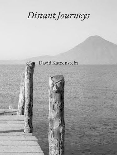 Cover image for David Katzenstein