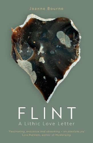 Cover image for Flint