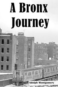 Cover image for A Bronx Journey