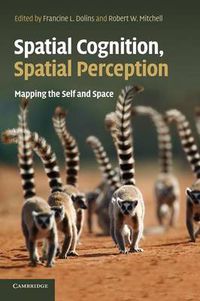 Cover image for Spatial Cognition, Spatial Perception: Mapping the Self and Space