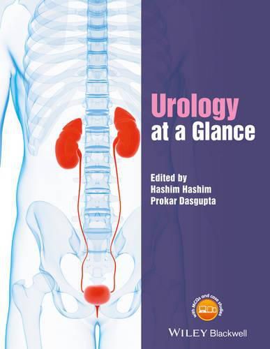 Cover image for Urology at a Glance