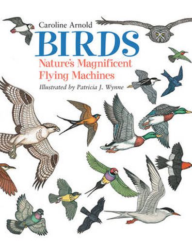 Birds: Nature's Magnificent Flying Machines