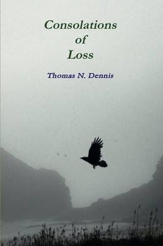 Cover image for Consolations of Loss