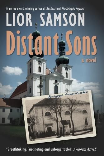 Cover image for Distant Sons