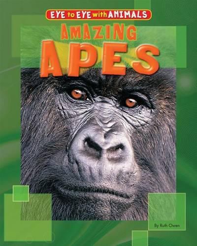 Cover image for Amazing Apes