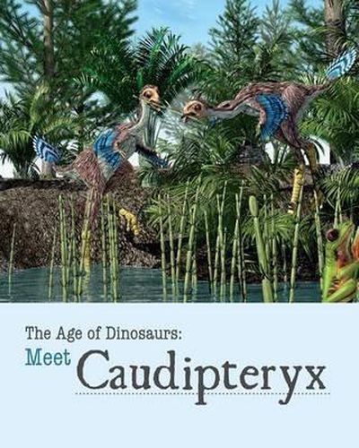 Cover image for Meet Caudipteryx
