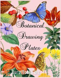 Cover image for Botanical Drawing Plates: Draw flowers & plants the classical way