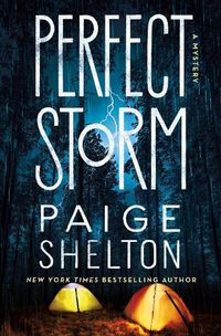 Cover image for Perfect Storm