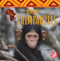 Cover image for Baby Chimpanzees