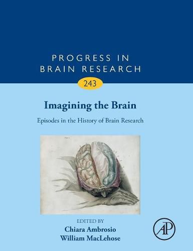 Cover image for Imagining the Brain: Episodes in the History of Brain Research