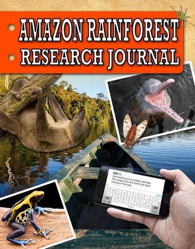 Cover image for Amazon Rainforest Research Journal