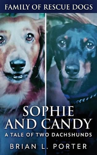 Sophie and Candy - A Tale of Two Dachshunds