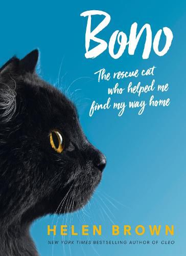 Cover image for Bono: The rescue cat who helped me find my way home