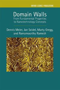 Cover image for Domain Walls