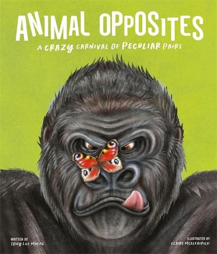 Cover image for Animal Opposites