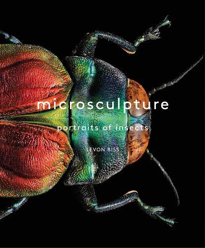 Cover image for Microsculpture: Portraits of Insects