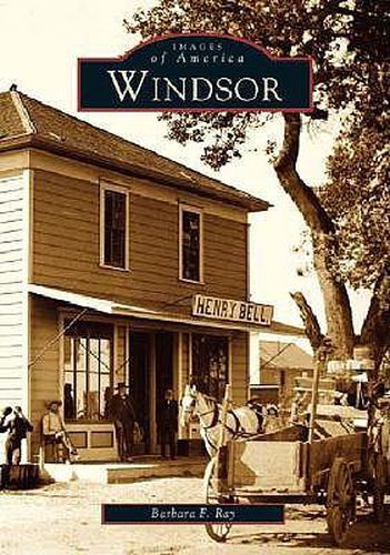 Cover image for Windsor