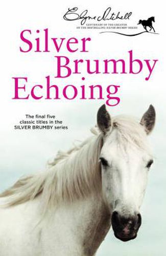 Cover image for Silver Brumby Echoing