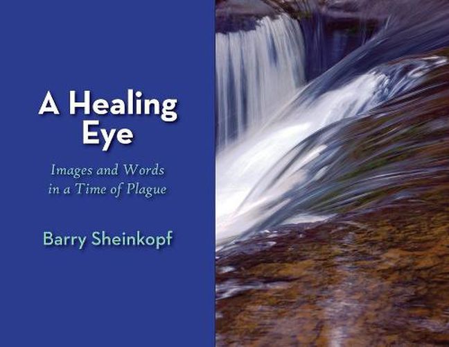 Cover image for A Healing Eye: Images and Words in a Time of Plague