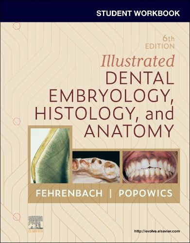 Cover image for Student Workbook for Illustrated Dental Embryology, Histology and Anatomy