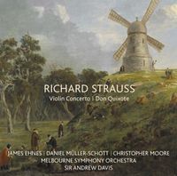 Cover image for Richard Strauss: Violin Concerto and Don Quixote