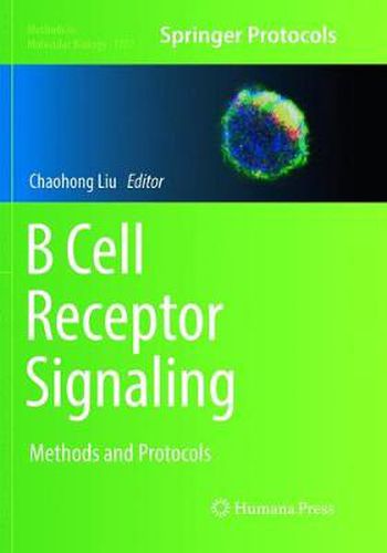 Cover image for B Cell Receptor Signaling: Methods and Protocols