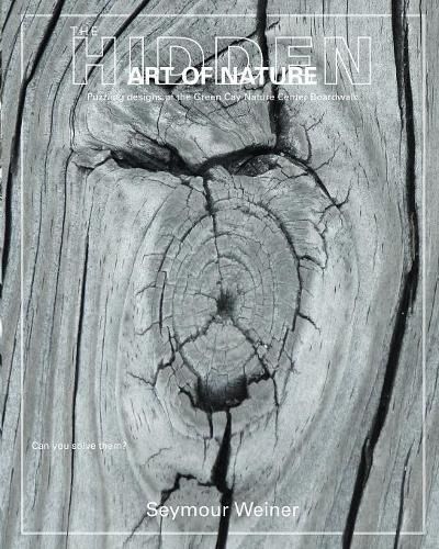 Cover image for The Hidden Art of Nature