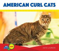 Cover image for American Curl Cats